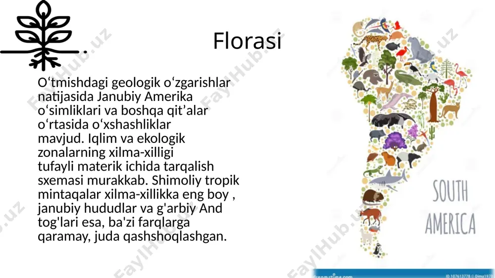 janubiy amerika flora va faunasi - Page 4