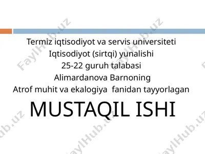 termiz iqtisodiyot va servis universiteti — PPT