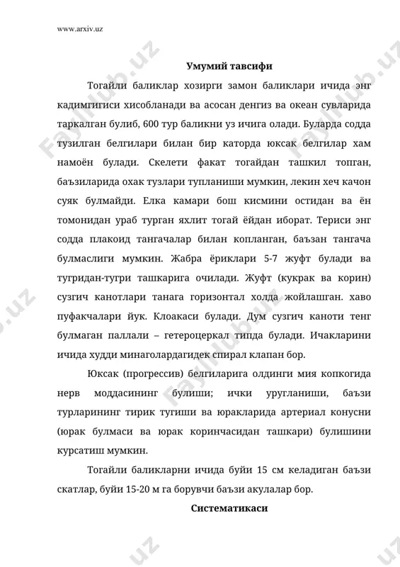 инфнинг номи шундан олинган). пластинка жабралилар кенжа синфи иккита туркумга булинади: 1 – акулалар туркуми – selachoidea гавдаси, одатда дуксимон, баъзиларида бироз яссилашган. тишлари куп булиб учи уткир. гавдаси узунлиги 20 см дан 20 м гача етади. бу туркумга 10 га якин оила кириб, турлари каспий денгиздан ташкари хамма океан ва денгизларда таркалган, 250 якин тури бор. плашли акулалар (chlamydoselachidae) оиласи факат битта тур-плашли акула (chl.anguineus)ни уз ичига олади. бунинг узунлиги 1.2-2 м булиб, бошнинг икки ёнида 6 жуфт жабра ёриклари бор. биринчи жабра кушилиб, сербар терили булма-плаш хосил килади. огзи бошка акулалардаги каби бошнинг остида эмас, балки огизнинг олдида жойлашади. атлантика, тинч ва хинд океанларининг муътадил ва субтропик зоналарида таркалган. китсимон акулалар (rhincodontidae) оиласига хам битта китсимон акула (rhincodon tipus) тури киради. бу хозирги баликларни ичида энг каттаси булиб, узунлиги 20 м гача, огирлиги 20 т гача боради. бунинг огзи бошининг олдинги томонида жойлашади. барча океанларнинг тропик ва субтропик …