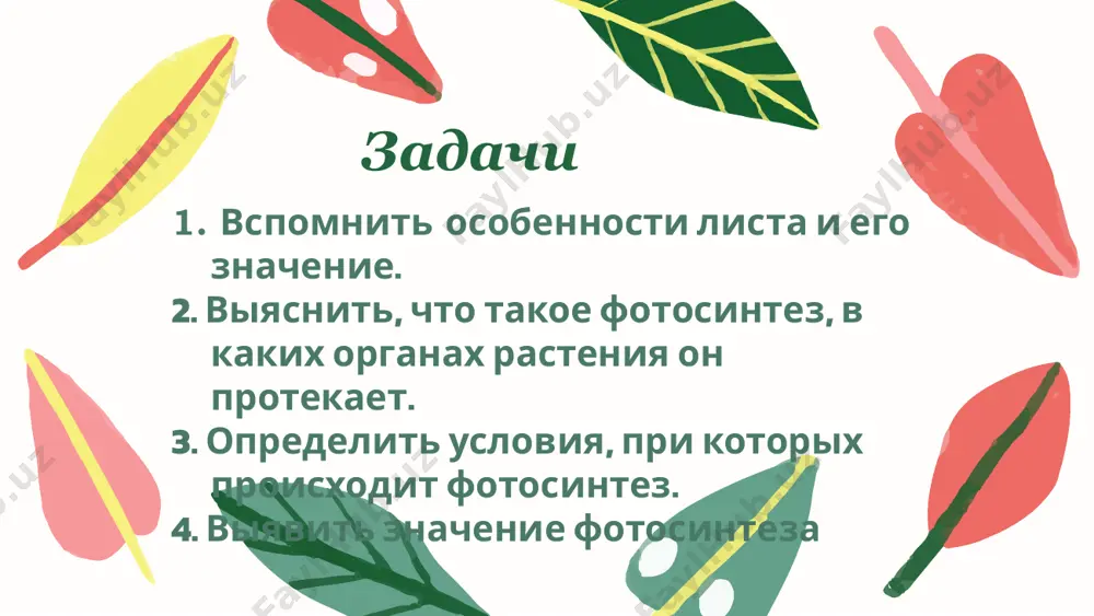 учитель биологии высшей категории - Page 4