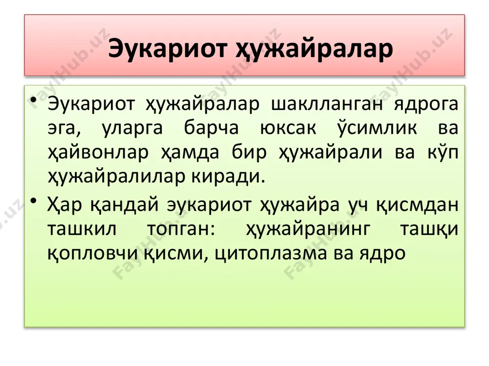кўрсатилган, аммо ҳар ҳил ҳужайраларда унинг тузилиши ўзгариб туради, шунинг учун ушбу тузилмани ҳужайрадаги секреция жараёнига алоқадор деб ҳисобланади. 1. диаметри 0,2-0,5 мкм бўлган, яссилашган бўшлиқлар, берк дисксимон шаклга эга цистерналардан иборат бўлиб, унинг 3-12 таси бирлашиб диктиосомаларни ҳосил қилади. диктиосомалар гольжи мажмуининг структура - функционал бирлиги ҳисобланади, ҳужайрада диктиосомалар 20тагача бўлади (жуда кам ҳолларда кўп бўлиши мумкин). 2. йирик вакуолалар (кенгайган цистерналар). 3. диаметри 20нм бўлган цистерналар четидан ажралиб чиқадиган майда вакуолалардан иборат. вазифаси гольжи мажмуининг фунцияси: - заҳиралаш (аккумуляция) - ҳужайрада синтезланган модда ва метаболитларни тўплаш; - гликозиллаш, сулфатлаш, фосфориллаш ва полипептид занжирларни қисман парчалаш ҳисобига оқсилларни модификациялаш; - секрецияланадиган моддаларни гранулаларга ўраш; - полимеризациялаш (оқсил ва углеводлардан гликопротеид, липид ва оқсилардан липопротеидлар) ҳосил қилиш; - бирламчи лизосомаларни шакллантириш (сперматозоидларда акросомалар ҳосил қилиш). - ҳужайра мембраналарини шакллантириш ва тиклаш (регенерация). гольжи мажмуининг тузилиши. лизосома лизосомалар - пуфакчалар шаклидаги бир мембранали органоид бўлиб, диаметри 0,2-0,8 мкм тенг. ҳайвон ва …