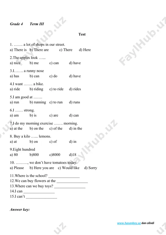 grade 4 term ii test - Page 3