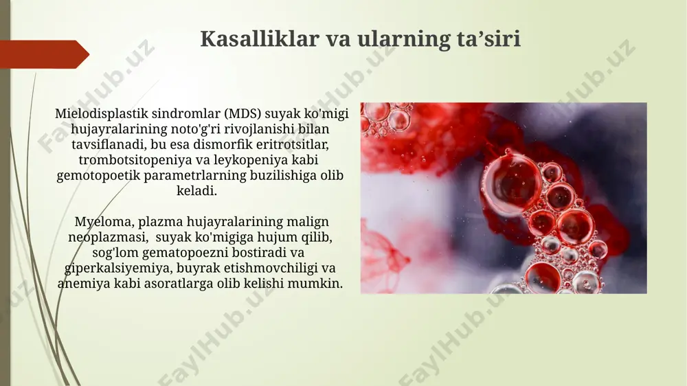 gemotsitopoez jarayonining boshqariluvi - Page 5