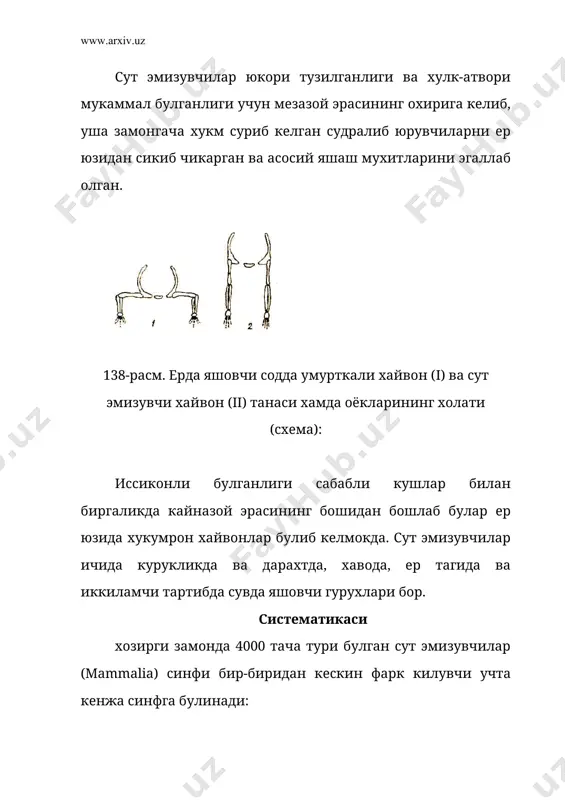 и 40 см гача боради. бармоклари учида кучли тирноклари бор. тухум куйишдан олдин ургочисининг корин томонида терили халта хосил булади, бу халтасида (140-расм) 1-2 та тухумларини олиб юради. тухумдан очиб чиккан болалари 1.2-2 см булиб, 8 см га етгунча халтада колади, кейин халтадан чикади. ехидналар австралияда проехидналар янги гвинеяда таркалган. тубан сут эмизувчилар кенжа синфи – metatheria бу кенжа синф хам битта копчиклилар (marsupoalia) туркумидан иборат булиб, 250 турни уз ичига олади. буларни улчами 4 см дан (копчикли сичкон) 1.6 м гача (кулранг кенгуру) боради ва экологик хусусиятлари билан хам фарк килади. гавда температураси бир йуллиларга нисбатан баланд (360 с) ва кам узгаради. йулдоши деярлик ривожланмаган, шунга кура барча копчиклиларнинг болалари чала, ночор ва жуда кичкина тугилади. масалан, катталиги одамдек келадиган кулранг кенгурининг янги тугилган боласи ёнгокдек булади. хомиладорлик даври киска: америка опоссумларида 8-14 кун, гигант кенгуруда 30-40 кун, бобрларда (йулдошлиларда) эса 105-107 кун давом этади. тугилган бола (кенгуруда 3 …