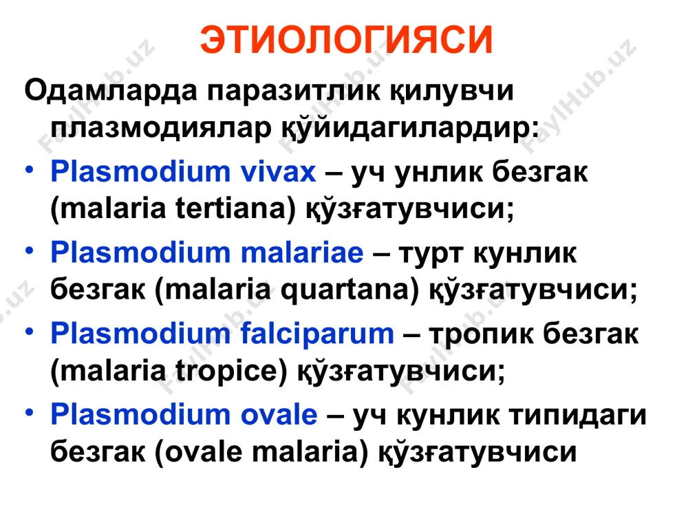 акция юзага келиши учун зарур бўлган паразитемия даражаси) етган тақдирдагина юзага келади. безгакда албатта, қон-томир деворлари, айниқса капиллярлар жароҳатланади ва оқибатда қон димланиши, эритроцитар тромбларни пайдо бўлиши, ўтказувчанликни бузилиши, бинобарин, паренхиматоз ҳужайраларда (жигар, мия ва б.) кислород етишмовчилиги, сероз яллиғланиш ва некробиотик ўзгаришлар кузатилади. тропик безгакда эритроцитар шизогония асосан бош мия, жигар, буйрак, ичак, талоқ, суяк кўмиги, панкреас, плацента капиллярларида кечганлиги туфайли махаллий гемодинамика кўп даражада бузилиб, тромбоз, некроз ва гранулемалар юзага келади. бошқа плазмодияларда эритроцитар шизогония асосан периферик қонда кечганлиги сабабли, бундай ўзгаришлар камроқ кузатилади. аллергик реакциянинг оқибати ўлароқ қон томир ичида тарқоқ қон ивиш (двс) синдроми ва тромбоцитопениянинг ривожланиши микроциркуляция бузилишини янада чуқурлаштириб геморрагик синдром, энцефалопатия ва нефропатия (азотемия ва олигурия билан) ривожланишига олиб келади. тропик безгакда тез кўпайган паразит, парчаланган эритроцитлар ва эндопирогенларни умумий қон оқимига тушиши и н ф е к ц и о н-т о к с и к ш о к ривожланишига ва у …
