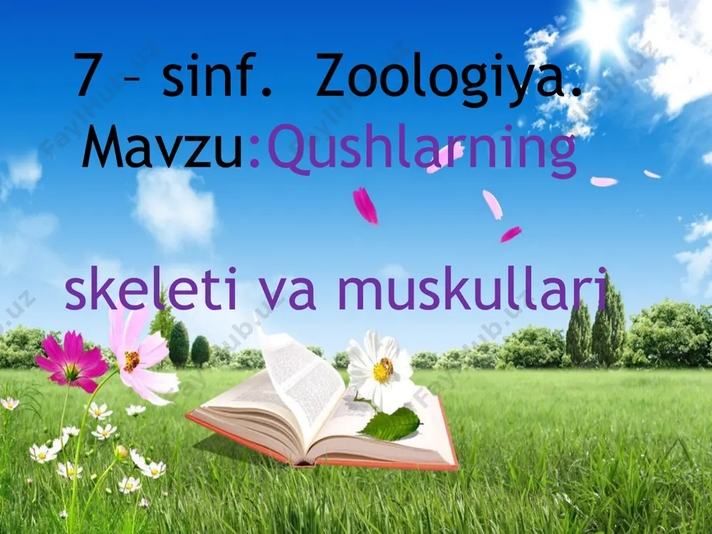 llantirish. darsning borishi: i.tashkiliy qism: 1.kim uyida qush boqadi ? 2.qushlarni qanday turlarini ko`rgansiz? ii.asosiy qism : 1.mustahkamlash. a) bunda o`quvchilar qatorlar bo`yicha guruhlarga ajratiladi. i.ii.iii.iv.v.vi. b)guruhlardagi o`quvchilar qushlar sinfi,ko`k kaptarning tashqi tuzilishi mavzusi bo`yicha navbat bilan ma`lumotlar aytishadi. izoh: har bir to`g`ri javob 0,5 ball bilan baholanadi. yani 2 ta to`g`ri javob 1ball, 10 ta to`g`ri javob 5 ball. ballar dars ohirida hisoblanadi. ma`lumotlar. 1.qushlar - havo muhitiga moslashgan issiqqonli hayvonlar. 2.qushlar yuragi to`rt kamerali. 3.kaptarning gavdasi bosh, bo`yin, tana va oyoqlardan iborat. 4.boshi yumaloq harakatchang bo`yin orqali tanasiga tutashgan. 5.tumshug`ining ustida burun teshigi, boshining 2 yonida ko`zlari loylashgan. 6.qushlar - havo muhitiga moslashgan issiqqonli hayvonlar. 7.qushlar yuragi to`rt kamerali. 8.kaptarning gavdasi bosh, bo`yin, tana va oyoqlardan iborat. 9.boshi yumaloq harakatchang bo`yin orqali tanasiga tutashgan. 10.tumshug`ining ustida burun teshigi, boshining 2 yonida ko`zlari joylashgan. 11.qushlar uchganda qanotlari ko`tarilish yuzasini hosil qiladi. 12.qushlar oyog`ining pastki qismi -- iligi va barmoqlari …