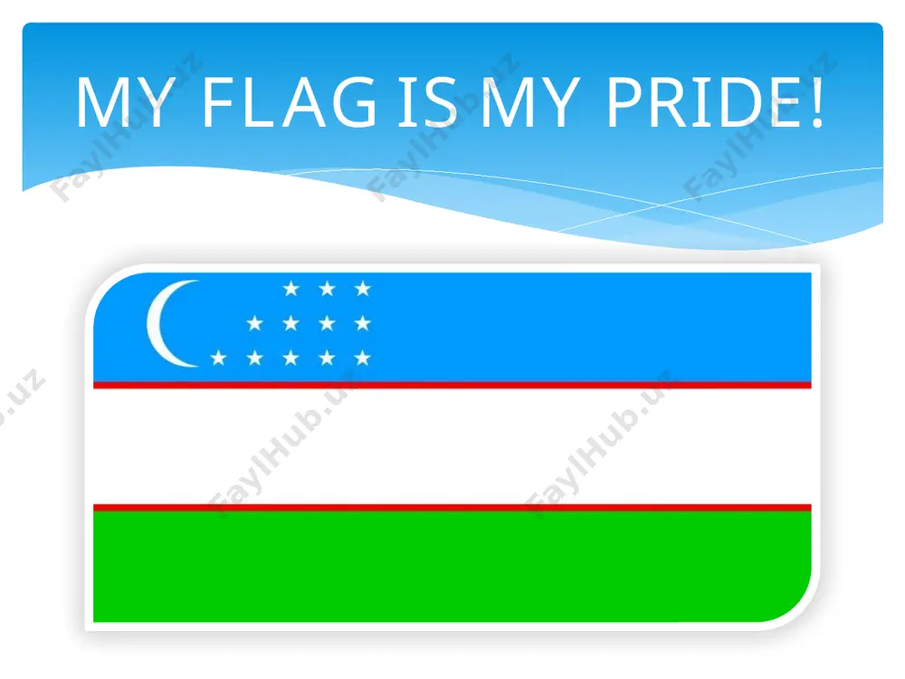 my flag is my pride - Page 2