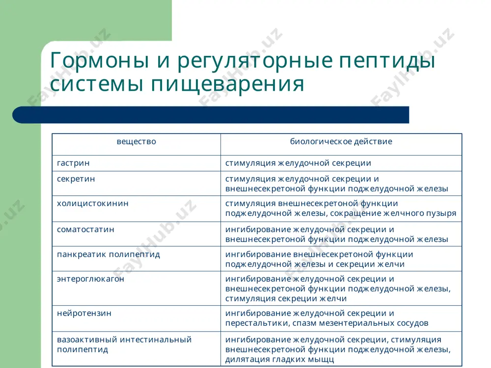 патофизиология системы пищеварения - Page 4
