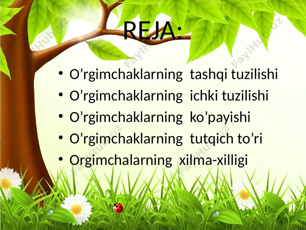 ida qishlab qoladi. bahorda tuxumlardan yosh o‘rgimchaklar chiqadi o’rgimchaklar tutqich tori o‘rgimchak bezlaridan ajralib chiqayotgan suyuqlik havoda qotib, iðga aylanish xususiyatiga ega. orqa oyoqlaridagi taroqqa o‘xshash tirnoqlari yordamida bir necha bezdan hosil bo‘layotgan iðlarni o‘rgimchak bir-biriga yopishtirib, bitta yaxlit ið hosil qiladi. urg‘ochisi bu iplardan tutqich to‘r to‘qiydi butli o‘rgimchakning tutqich to‘ri g‘ildirak shaklida bo‘lib, butalar va baland bo‘yli o‘tlar orasiga tik tortilgan bo‘ladi. tutqich to‘r yoniga o‘rgimchak ko‘pincha to‘rdan in to‘qiydi. bu inda u o‘z o‘ljasini poylab yotadi. tutqich to‘rning markazidan o‘rgimchak tomonga signal ipi tortilgan bo‘ladi. tasodifan to‘rga tushib qolib, tipirchilayotgan pashsha, kapalak va boshqa mayda hasharotlar signal iðini tebratganida o‘rgimchak inidan tezda chiqib, o‘ljaga tashlanadi va uni o‘rgimchak iði bilan o‘rab oladi. o‘ljani ustki jag‘larining o‘tkir tirnoqlari yordamida zaharlab o‘ldiradi. shundan keyin uni birmuncha vaqt qoldirib, iniga kirib ketadi. o’rgimchaksimonlarning xilma-xilligi o’rgimchaksimonlar sinfi tuzilishi va hayot kechirishi bilan bir-biridan farq qiladigan o‘rgimchaklar, solpugalar, chayonlar va kanalar turkumlariga …