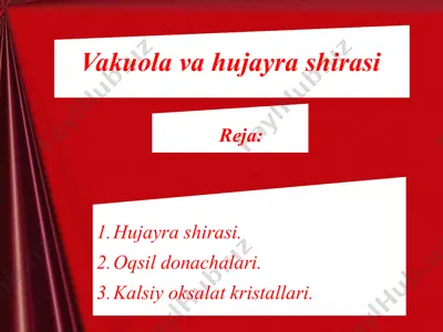vakuola va hujayra shirasi — PPTX