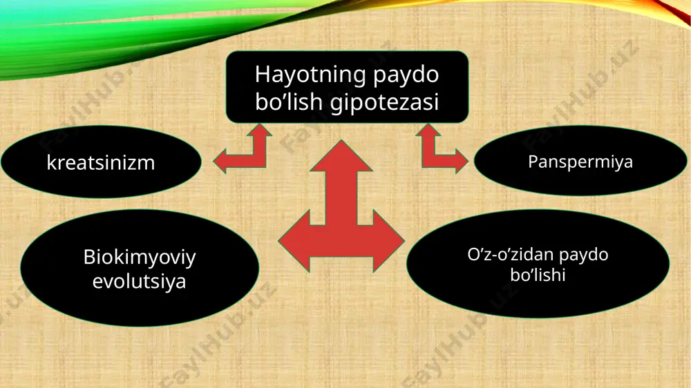 a’zolar polimerizatsiyasi →chuvalchanglarda jinsiy sistema har bir bo’g’imda funksiyalar konsentratsiyalanishi →qon sistemasi, immun sistema (sut emizuvchilarda) funksiyalar soni kamayishi → odam qo’li→mehnat quroli funksiyalar almashinishi →so’lak bezlari→ zahar bezlari a’zolar substitutsiyasi→xorda – tog’ay, suyak funksiyasi bir xil geterobatmiya → a’zolar evolyutsiyasi xar xil darajada borishi kompensatsiya→ rivojlangan a’zolar sust rivojlanganining o’rnini to’ldiradi korrelyatsiyalar- rivojlanayotgan a’zolar orasida o’zaro strukturaviy, funksional bog’lanishlar ontogenetik shaxsiy rivojlanish davomida filogenetik tarixiy rivojlanish davomida filogenetik korrelyatsiyalar topografik yaqin joylashgan a’zolar orasida ko’z-kalla suyagi; nerv naychasi, xorda, ichak yurak dinamik funksional bog’lanishlar nerv markazlari- retseptorlar biologik muhitga moslashishni ta’minlovchi → primatlarda→ oyoqlar, miya, ko’rish funksiyalari bog’langanligi ontogenetik korrelyatsiyalar genetik (genom) pleyotropiya genlar birikishi, genlar o’zaro ta’siri morfogenetik embriogenezda hujayra va to’qimalar o’zaro ta’siri. embrional induksiya. ergontik (funksional) nerv sistemasi- periferik a’zolar; mushaklar-siyaklar turli sinflarga mansub umurtqali hayvonlarning embrionalrivojlanishi: a- baliq, b-salamandra, c-toshbaqa , d-qush, e-quyon, f-odam. umurtqalilar tishlarining evolyutsiyasi. a-perm davri reptiliyalarining konussimon tishlari, b-yuqori, terpodontlarning tishlari, …