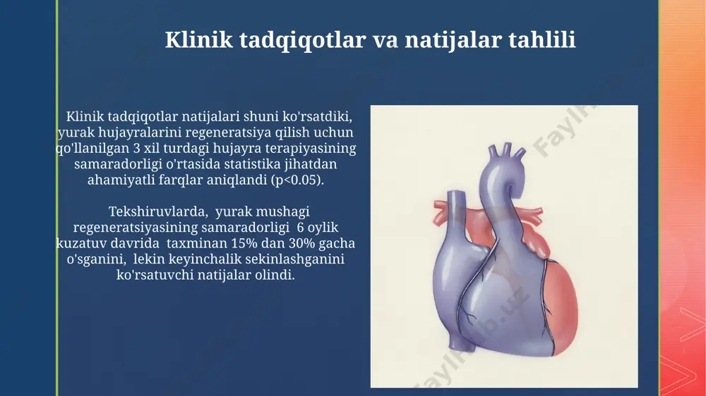 bo'lganda ham yurak yetishmovchiligiga olib kelishi mumkin. yurak mushagining regeneratsiyasi: kirish yurak mushagining regeneratsiya qobiliyati juda cheklangan bo'lib, atigi 1% atrofida hujayra almashinuvi yuz beradi, bu esa infarkt oqibatlarini tiklashni qiyinlashtiradi. yurak mushagi regeneratsiyasi bo'yicha tadqiqotlar hujayra terapiyasi, gen terapiyasi va biomateriallar kabi turli strategiyalarni o'rganmoqda. yurak hujayralarining tuzilishi va funksiyasi ularning sitoplazmasida ko'p miqdorda mitoxondriya (hujayra energiyasi ishlab chiqaruvchi organoid) mavjud bo'lib, umumiy hujayra hajmiga 40% gacha tashkil qiladi. kardomiyositlarning bir-biri bilan bog'lanishini ta'minlovchi intercalar disklar mavjud bo'lib, ular gap junktsiyalari va desmosomalar kabi maxsus tuzilmalarni o'z ichiga oladi, bu esa yurak mushagining sinxron qisqarishini ta'minlaydi. hayvonlar ustida o'tkazilgan tajribalar va natijalar yurak mushagining shikastlanishidan keyin, mezenximal hujayralarning ta'siri ostida fibroz to'qimalarining hosil bo'lishi 70% gacha kamaytirilishi mumkinligi isbotlandi. transgenik sichqonlar ustida o'tkazilgan tadqiqotlar, gata4 va mef2c kabi transkripsiya omillarining yurak to'qimasining regeneratsiyasi darajasiga sezilarli ta'sirini ko'rsatdi. e'tiboringiz uchun rahmat @taqdimot_robot image4.jpg image5.jpg image6.jpg image7.jpg image8.jpg image9.jpg image10.jpg image11.jpg …
