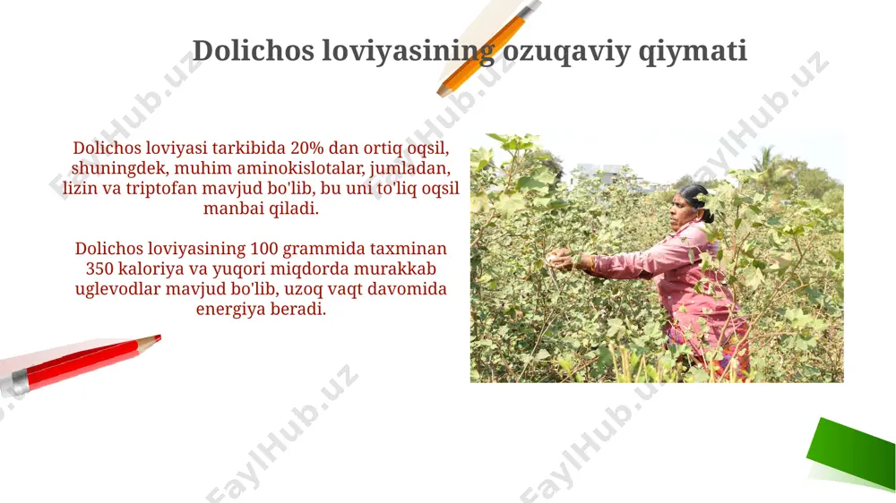 dolichos loviyasi - Page 5