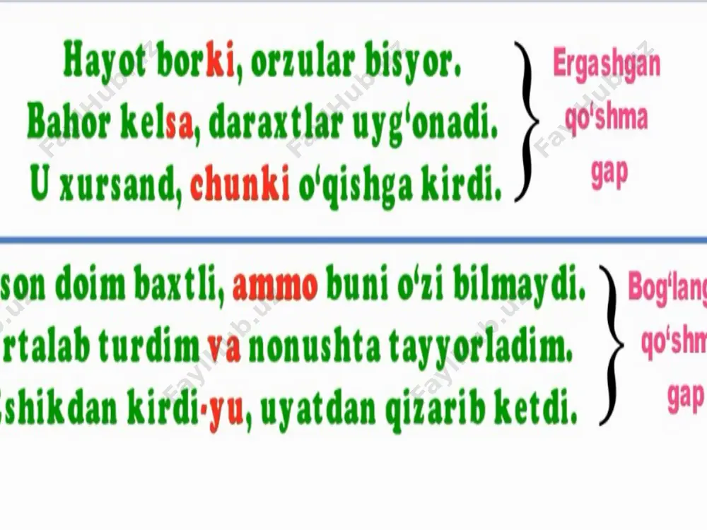 ergashgan qo‘shma gap - Page 3