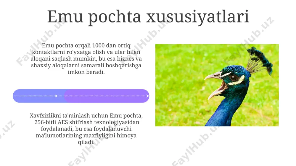 zaksiya tahlil qilindi va natijada o'rtacha chek qiymati 250 000 so'm atrofida ekanligi aniqlandi. e'tiboringiz uchun rahmat @taqdimot_robot image4.jpg image5.jpg image6.jpg image7.jpg image8.jpg image9.jpg image10.jpg image11.jpg image12.jpg image13.jpg image14.jpg image15.jpg image16.jpg image17.jpg image18.jpg image1.jpeg image2.jpeg image3.jpeg