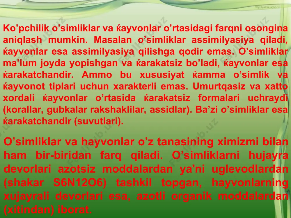 qo'shilib auksospora deb ataladigan spora hosil qiladi va o'sa boshlaydi (katta bo'ladi). diatom suvo'tlardan pinnulariya, tsiklotella, navikulla, melozira, asterionella, surilella, tabellariya va xetotseros tabiatda keng tarqalgan. 2. diatom suv o`tlar – dtatomeae dengizlarda yashovchi diatom suvo'tlar halok bo'lgach dengiz tagida cho'kib, bir necha milion yillar davomida qalin qatlam hosil qiladi. diatomit g`ovak va yngil bo'lganligidan undan termoizolachion materialar, g`ovak g`ishtlar va portlovchi modda-dinamit tayyorlanadi qo’ng`ir suvo’tlar tipi faqatgina dengizlarda yashaydi. ular 900 ortiq ipsimon yoki plastinkasimon tanali (talomli) ko’p hujayrali turlardan iborat. qo’ng`ir suvo’tlarning kattaligi 30- 40 sm dan to 1- 4 metrgacha bo’ladi. qo’ng`ir suvo’tlarning hujayrasida xlorofil, fukosantin, karotin pigmentlari mavjud. shuning uchun ularning rangi qo’ng`ir yoki sarg`ish qo’ng`irdir. quyosh nuri ta'sirida fotosintez protsessi ro’y beradi va hujayrada qand, (uglevod) kabi oziq moddalar (karbon suvlar) to’planadi. 3. qo`ng’ir suvo`tlar – phacophuta qo’ng`ir suvo’tlari jinssiz va jinsiy ko’payadi. ko’payish harakatchan zoosporalar va harakatsiz sporalar hosil qilish yordamida yuz beradi. qo’ng`ir …