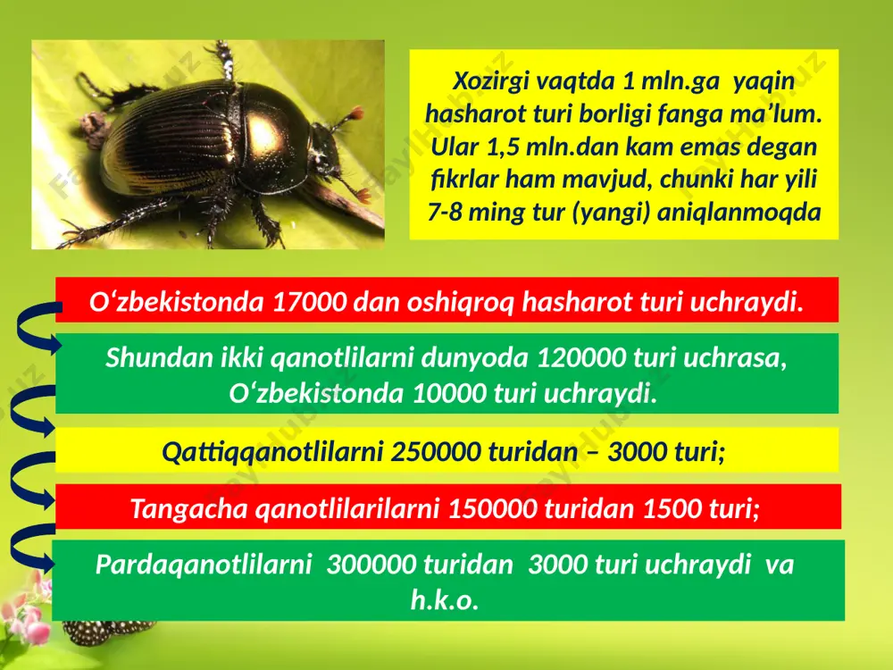 orqa oyoqlari yordamida sakrab ancha tez harakatlanadi. tanasining ustki qismi va oyoqchalari tukchalar bilan qoplangan. burga – “xo‘jayinlariga” ortiq darajada ixtisoslashgan hasharot. masalan, odamga uchraydigan burga it, mushuk, sichqon, kalamush va boshqa sut emizuvchilarga o‘tib yashay oladi. mazkur hayvonlarda bo‘ladigan burgalar esa odamda uchrashi mumkin. zararkunanda hasharotlarga qarshi kurash choralari. kimyoviy kurash metodlari zararli hasharotlarning tanasi va nafas olish organlariga ta’sir etuvchi (tashqi zaharli moddalar) yoki ichki hazm organlariga ta’sir o‘tkuzib halok qiladigan – ichki zaharli moddalarni turli yo‘llar bilan ishlatishga asoslangan. fizikaviy kurash choralari, asosan, kechasi tarqaladigan zararkunandalarga qarshi qo‘llaniladi. bu ishda hasharotlarni o‘ziga jalb etuvchi turli nur tarqatuvchi maxsus elektr fonuslar yoki oddiy elektr lampochkalaridan foydalaniladi. biologik kurash choralari, avvalo, zararkunandalarning tabiiy dushmani bo‘lgan yirtqich hasharotlar yoki parazitlik bilan zararkunanda tanasiga tuxum qo‘yib ko‘payuvchi boshqa hasharotlar superparazitlar (yirtqich qo‘ng‘izlar, telenomus, trixogramma va boshqalar) dan foydalanishga asoslangan. adabiyоtlar: 1. g.g.abrikosov va boshqalar. «zoologiya» 1 - 2 jilt. t: 1966. …