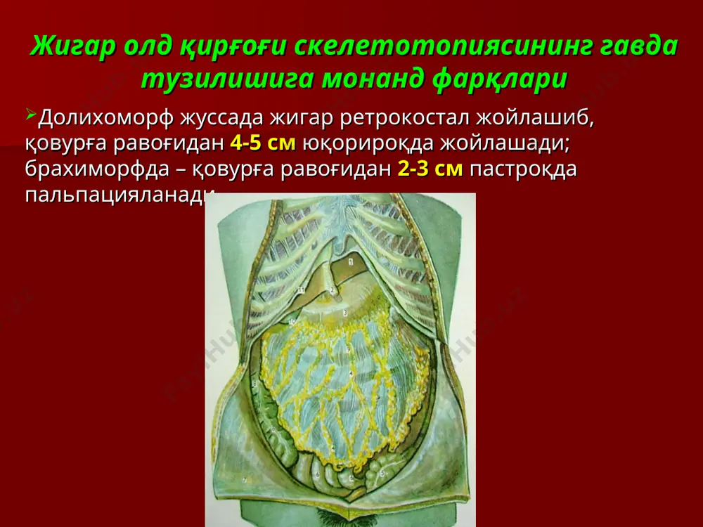 абдоминал кесим (райфершайд); торакоабдоминал кесим (райфершайд); жигар ва ўт йўлларидаги операцияларнинг асосий тамойиллари жигар паренхимасининг ўзига хослиги ва фиброз капсуласининг мустаҳкам эмаслиги операциялар пайтида қонни кўп миқдорда йўқотишга сабабчи бўлиб, уни тикишни қийинлаштиради. жигар чоклари (м.м.кузнецов, ю.с. пенский, 1894) бунда қирғоқларни туташтирувчи чокларни тортиб, жигар паренхимаси орқали ўтувчи қон томирларни сиқиб қўйилади жигар чоки қўйилгач, геморрагия ва қорин бўшлиғига инфицирланган ўт суюқлиги тушишини бартараф этиш учун жароҳатни қўшимча герметизациялаш лозим: а) жароҳатни ўроқсимон бойлам билан ёпиш; б) жигар жароҳатини чарви билан тампонлаш; в) жароҳатни в.с. шапкин усулида бекитиш. жигар жароҳатини перитонизациялаш: чарви билан; жигар жарохати гепатизацияси глиссон капсуласи билан бекитиш америкалик жарроҳлар шаве-пеон (chaver-peon) ва гонзалес (gonzales, 1970) пастки кавак венага пуфланувчи манжеткали шунт киритиш (эндокавал шунтлаш) орқали жигарни қон айланишидан 20 мин четлатиш операция моделини ишлаб чиқишган. бунда жигар орқали ҳаво эмболияси хавфининг олди олинади. жигар резекцияси турлари: а) атипик резекция – аъзонинг бир қисми соғ тўқималар доирасида кесиб …
