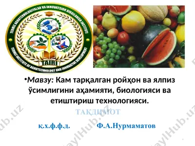 тақдимот — PPT
