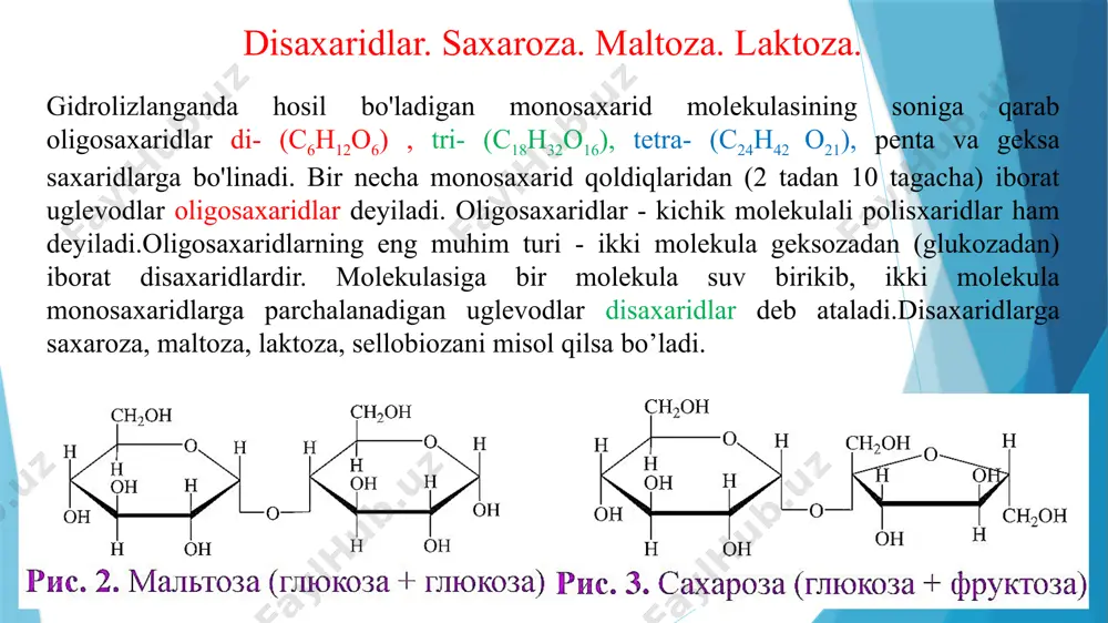 ida chala gidrolizlash yo'li bilan olinadi laktoza (sut shakari) -ß-d-galaktoza va ß-d-glukoza qoldiqlaridan tuzilgan. laktoza 1633-yildan beri ma'lum. sutda 4-5% miqdorda bo'ladi.laktoza sigir sutida 4-4,5%, ayollar sutida 5,5-8,4% bo'ladi. shuning uchun u sut shakari deb ataladi. laktoza eritmada mutoratsiyaga uchraydi. sut shakarining shirinligi saxarozadan 70% ga kam. uning gidrolizlanishidan d- galaktoza va d- glukozaga aylanadi hosil bo'ladi: c12h22o11 + h2o → c6h12o6 + c6h12o6 laktoza d-glukoza d-galaktoza laktoza ko'proq chaqaloqlarga beriladi. sut shakari yog'i va oqsili olingan sutdan foydalanib olinadi. sigir sutida 4-5% miqdorda laktoza bo'lsa, ayollar sutida 5,5 - 7,5% gacha bo'ladi. sut achiganda hamma sut shakari bakteriyalar ta'sirida sut kislotasiga aylanadi. laktoza polisaxaridlar - kraxmal va selluloza. polisaxaridlar yuzlab, minglab va millionlab monosaxarid qoldiqlaridan iborat. ular tabiatda keng tarqalgan bo'lib, inson, hayvon va o'simliklar hayotida muhim ahamiyatga ega, mineral kislotalar tasirida gidrolizlanadi. agar gidrolizlanganda faqat bir xil monosaxarid hosil bo'lsa, bunday polisaxaridlar gomopolisaxarid lar. gomopolisaxaridlarga kraxmal, selluloza, glikogen …