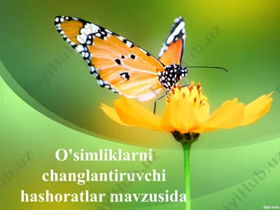o'simliklarni changlantiruvchi hashoratlar mavzusida — PPTX