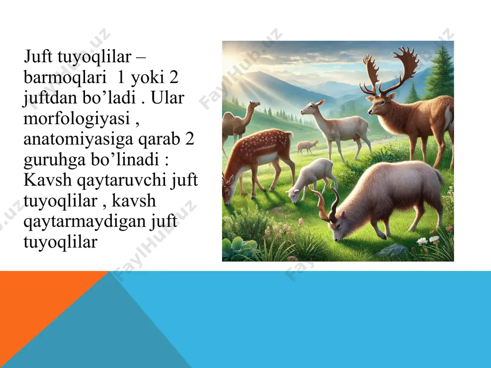 y osiyodagi o‘rmonlarda yashaydi. karkidon tropik afrika va janubiy osiyoda tarqalgan. 1. rasmdagi hayvonlarni turkumlariga mos ravishda ajrating 2. rasmg diqqat bilan e’tibor bering rasmdagi hayvonlar qaysi oilaga , turkumga kirishini yozing 3. savollarga javob bering 1. nima uchun kavsh qaytaruvchi juft tuyoqlilarning boshida o‘sadigan shoxlar ba'zi turlarda har yili yangilanadi, boshqalarida esa butun umr davomida saqlanadi? 2. kavsh qaytarmaydigan juft tuyoqli hayvonlarning qoziq tishlari rivojlangan bo‘lishi ularning oziqlanish turiga qanday ta'sir ko‘rsatadi? 3. to‘ng‘iz bolalarining yo‘l-yo‘l tusda bo‘lishi ularning yashash muhitida qanday moslashuv afzalliklarini beradi? 4. nima uchun toq tuyoqli hayvonlarning ko‘richak o‘simtasi juda uzun bo‘ladi va bu ularning ovqat hazm qilish jarayonida qanday rol o‘ynaydi? 1. jirafa – juft tuyoqli kavsh qaytaruvchi begemot- juft tuyoqli kavsh qaytarmaydigan zebra – toq tuyoqli sher – yirtqich sutemizuvchi pingving – suv qushi 2. kemiruvchi , juft tuyoqli , toq tuyoqliyirtqich sutemizuvchilar turkumlari mushuksimonlar oilasi kavsh qaytaradigan juft tuyoqlilar guruhu 1. bug‘u …