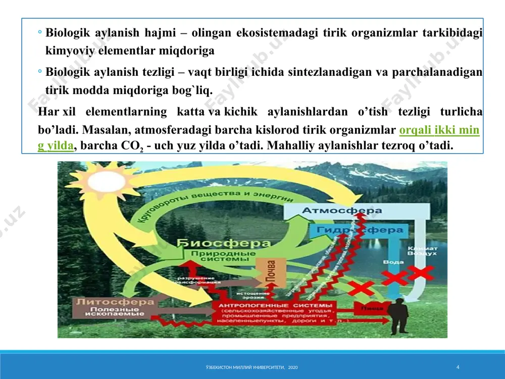 rlariga, azotni fiksatsiyalashga, nitrifikatsiyaga, kislotali va asosli aminokislotalardan foydalanishga, metan, vodorodning oksidlanishiga va ba'zi uglevodorodlardan foydalanishga ta'siri yaxshi o'rganilgan. zarrachalarning ta'siri, asosan, tuproq eritmasi bo'lgan suyultirilgan eritmalarda ko'proq seziladi. bu erda mikroorganizmlar ko'pincha ozuqa moddalarining past konsentratsiyasi tufayli eritmada rivojlana olmaydi, ammo ular zarralar yuzasida rivojlanadi, chunki bu erda oziq-ovqat kontsentratsiyasi ancha yuqori. adsorban zarralar va bakteriyalar hujayralarining o'zaro joylashishining turli xil holatlari 15 tuproqning suyuq fazasi (tuproq eritmasi) odatda kapillyarlarda joylashgan yoki har xil qalinlikdagi plyonkalarni hosil qiladi. kapillyarlar va plyonkalar mikroorganizmlar hujayralaridan ancha qalin yoki ingichka bo'lishi mumkin. nisbatan kamdan-kam hollarda, yomg'irdan, sug'orishdan yoki er osti suvlari darajasining ko'tarilishidan so'ng, tuproqda tortishish kuchi ta'sirida harakatlanadigan katta miqdordagi suv paydo bo'ladi. tuproqning suyuq fazasi uchun mikrozonallik gazlar, organik moddalar, ph va boshqalar tarkibiga nisbatan xarakterlidir. 16 tuproqning suyuq fazasida har doim ma'lum miqdordagi mineral, organik va organomineral moddalar molekulyar yoki kolloid holatida, shuningdek erigan gazlar mavjud. biroq, tuproq eritmasidagi …