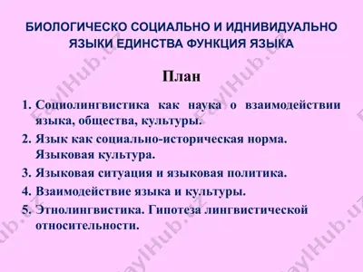 социолингвистика ва идентовизацияси — PPTX