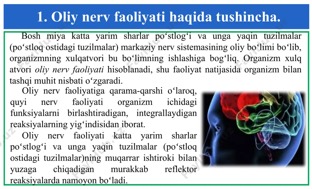 vidual. 3. turgʻun, butun hayot davomida saqlanib turadi. 3. turgʻun emas, hayot davomida hosil boʻlib, yoʻqolib turadi. 4. mns quyi qismlari (poʻstloq osti yadrolari, miya oʻzagi, orqa miya) ishtirokida amalga oshadi. 4. asosan bosh miya poʻstlogʻi faoliyati mahsulidir. 5. ma’lum bir retseptor maydonga adekvat ta’sirotlar berilganda yuzaga keladi. 5. har xil retseptor maydonlarga har qanday ta’sirlar berilganda. 2. shartsiz va shartli reflekslar. shartsiz reflekslar oddiy va murakkab boʻlishi mumkin. tugʻma murakkab shartsiz reflektor faoliyatlar instinkt deb ataladi. ular zanjirli reaksiya sifatida namoyon boʻladi. shartli refleks koʻp komponentli murakkab reaksiya boʻlib, indiferent (befarq, shartli) ta’sirni shartsiz ta’sir bilan mustahkamlash asosida hosil boʻladi. shartli refleks ogohlantirish vazifasini oʻtaydi, organizm shartsiz ta’sirni qabul qilishga tayyor holga keladi. masalan: organizmning musobaqadan oldingi holatida qonning qayta taqsimlanishi, nafas va qon aylanishining kuchayishi natijasida muskullarning zoʻriqib ishlash uchun tayyor holatga kelishi. 2. shartsiz va shartli reflekslar. shartli refleks hosil qilish uchun quyidagilar zarur: ikkita ta’sirlovchining mavjudligi, …