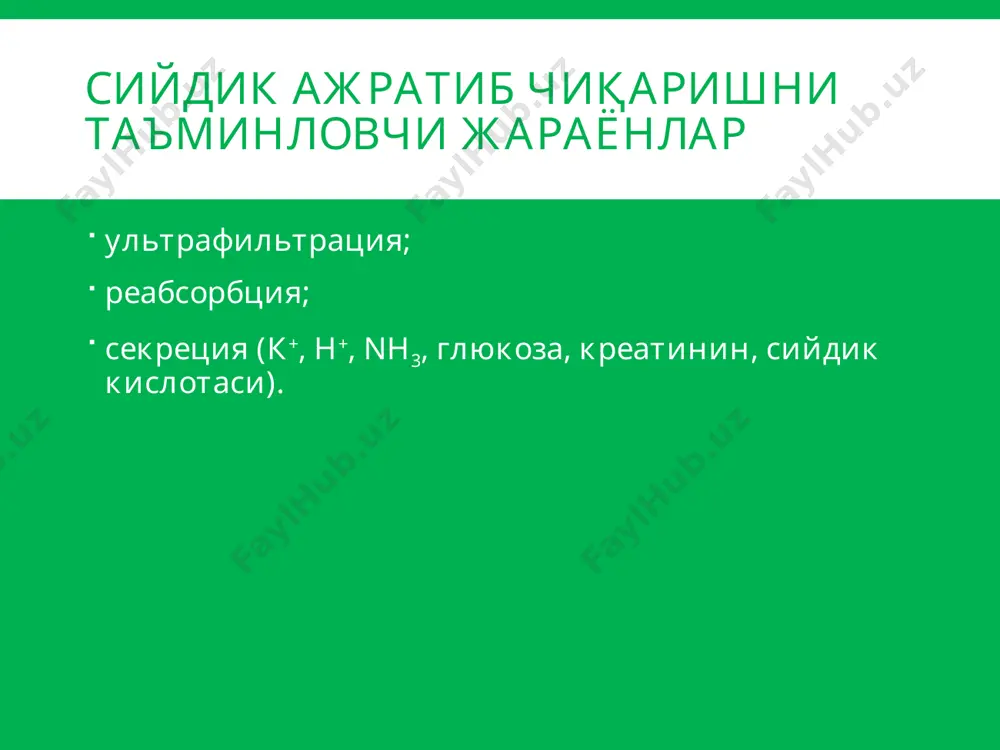 буйраклар патофизиологияси - Page 3