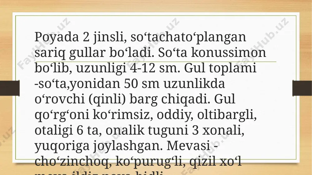 oddir igir - Page 3
