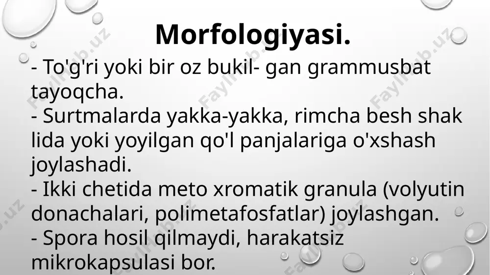; akds- adsorbsiya qilingan ko kyo'tal, difteriya, qoqshol vaksinasi ishlatiladi. ko'kyo’tal (koklyush). urug’i- bordetella qo'zga'tuvchilari- bordetella pertussis, bordetella parapertussis va bordetella bronchiseptica. morfologiyasi. - mayda, kalta, tayoqcha shaklida boʻlib, ikki uchi bir oz bukilgan. - spora hosil qilmaydi, virulent turlarida kapsulasi bor, xivchinlari yo'q, harakatsiz. - gram usuli bilan manfiy bo'yaladi. o'sishi. - qat'iy aerob, oddiy oziq rnuhitlardao'smaydi, chunki bunda yog' kislotalari to'planib, bakteriyalarning ko'payishini to'xtatadi. - ko'kyo'tal qo'zg'atuvchisini qon aralashtirilgan kartoshka-glitserinli 25% muhitda (borde-jangu ozig'i) ko'paytiriladi. - 35-37°c (o'sish chegarasi 20-38°c), harorat va 6,8-7,4 ph juda qulay hisoblanadi. oziq muhitda ko'kyo'tal mikrobi 24-72 soatdan so'ng mayda, boʻrtgan, simob tomchilariga o'xshash yaltiroq, qora rangli koloniyalar hosil qiladi. fermentativ xususiyati. ko'kyo'tal qo'zg'atuvchisi biokimyoviy xususiyati bo'yicha faol emas, qand, oqsil va mochevinalarni parchalamaydi, nitratlarni qaytarmaydi, katalaza hosil qiladi. toksin hosil qilishi. - ko'kyo'tal qo'zg'atuvchisi temperaturaga chidamsiz toksin ishlab chiqaradi, gistaminga sezgir va limfotsitozni tezlatuvchi moddalar ajratadi. - ko'kyo'tal qo'zg'atuvchisi gialuronidaza, letsitinaza, gernagglutinlarni …