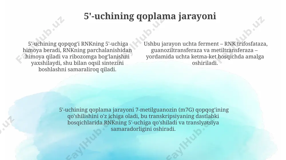 rnk transkripsiyasi va prossengi - Page 4
