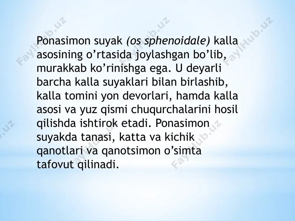 ponasimon suyak - Page 5