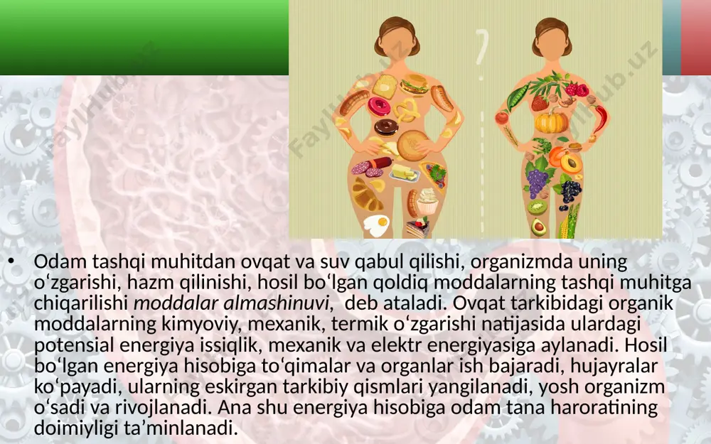 q, tuxum, sut va sut mahsulotlari. sifatsiz oqsillar o‘simlik mahsulotlarida bo‘ladi: guruch, no‘xat, loviya, bug‘doy, kartoshka, makkajo‘xori va boshqalar. bolalar va o‘smirlar organizmining normal o‘sishi va rivojlanishi uchun ularning kundalik ovqati tarkibida sifatli oqsillar yetarli miqdorda bo‘lishi kerak. yog‘lar almashinuvi. yog‘lar ham oqsillarga o‘xshash odam organizmida plastik va energetik ahamiyatga ega. 1 g yog‘ organizmda kislorod ta’sirida oksidlanib, 9,3 kkal energiya ajratadi. yog‘lar ikki xil bo‘ladi: hayvon yog‘lari va o‘simlik moylari. karbonsuvlar almashinuvi. uglevodlar odam organizmida, asosan, energiya manbayi bo‘lib hisoblanadi. ayniqsa, jismoniy ish bajarganda ular birinchi bo‘lib parchalanadi va hujayra-to‘qimalarni, ayniqsa, muskullar faoliyati uchun zarur bo‘lgan energiya bilan ta’minlaydi. 1 g uglevod kislorod ta’sirida parchalanib, 4,1 kkal energiya ajratadi. uglevodlar, asosan, o‘simliklardan olinadigan ovqat mahsulotlarida ko‘p bo‘ladi (non, kartoshka, mevalar, qovun-tarvuz hamda shirinliklarda). suv va mineral tuzlar almashinuvi. suv odam organizmi barcha hujayra va to‘qimalarining tarkibiy qismiga kiradi. katta yoshdagi odamlar tanasining 50—60% ini suv tashkil qiladi, yoshlarning tanasidagi …