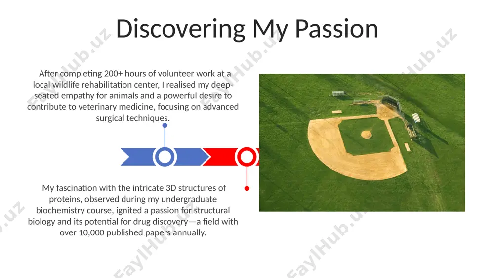career alignment in veterinary medicine - Page 3