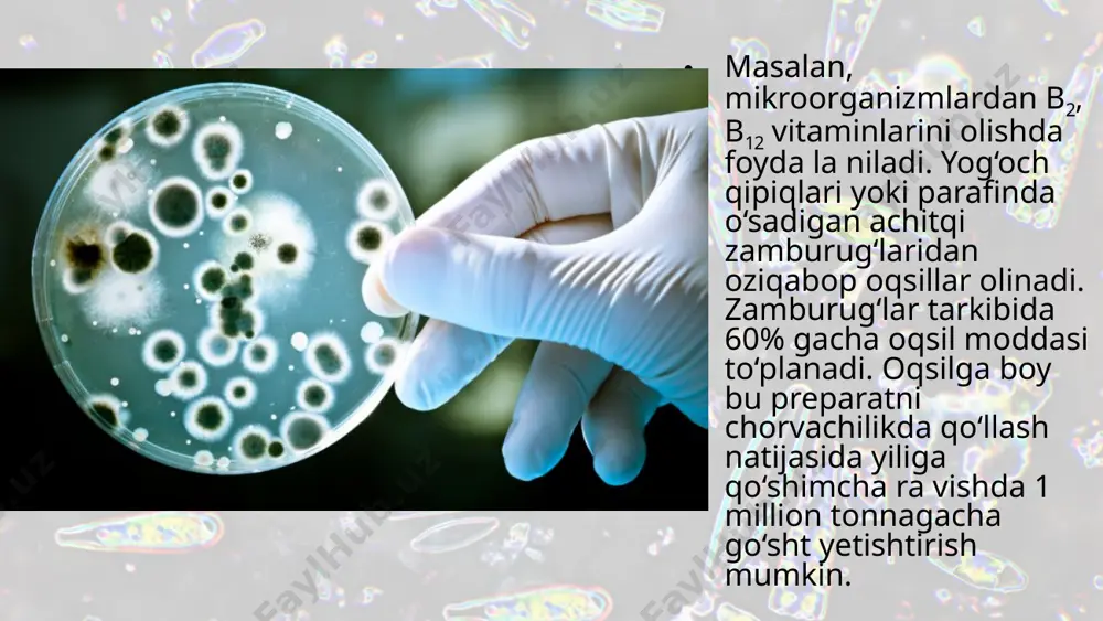 mikroorganizmlar seleksiyasi. 9 - sinf - Page 4