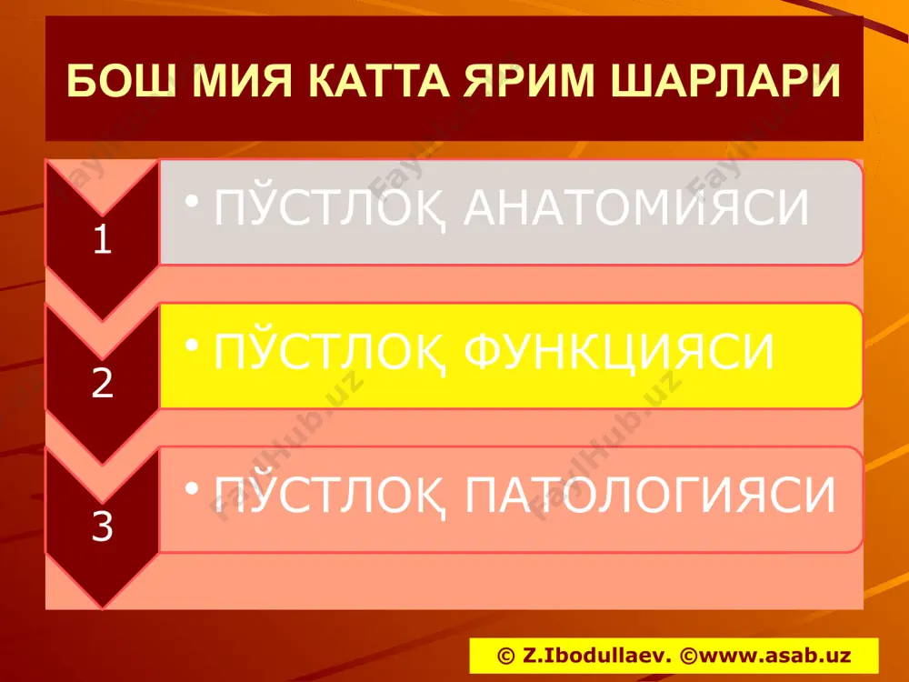 нсор нутқ вестибуляр анализатор ҳид ва таъм билиш маркази мусқал товушларни англаш маркази © z.ibodullaev. ©www.asab.uz энса бўлаги марказлари кўриш ўқиш оптик-фазовий анализ © z.ibodullaev. ©www.asab.uz энса соҳаси зарарланса © z.ibodullaev. ©www.asab.uz пўстлоқ синдромлари © z.ibodullaev. ©www.asab.uz пешона соҳаси синдромлари монопарез, гемипарез пешона психикаси мотор афазия аграфия нигох фалажи астазия, абазия © z.ibodullaev. ©www.asab.uz париетал синдромлар моноанестезия, гемианестезия астереогнозия анозогнозия аутотопогнозия апраксия алексия, акалькулия © z.ibodullaev. ©www.asab.uz нормал кўриш © z.ibodullaev. ©www.asab.uz фазонинг бир томонини инкор қилиш синдроми © z.ibodullaev. ©www.asab.uz чакка соҳаси зарарланиши белгилари сенсор афазия фонематик эшитишнинг бузилиши ҳидло ва таъм галлюцинациялари амузия чакка эпилепсияси эмоционал-вегетатив бузилишлар © z.ibodullaev. ©www.asab.uz энса соҳаси зарарланиши белгилари квадрант гемианопсия кўрув агнозияси фотопсиялар метаморфопсия микропсия, макропсия скотомалар © z.ibodullaev. ©www.asab.uz нутқ бузилишлари мотор афазия сенсор афазия амнестик афазия семантик афазия дизартрия мутизм скандирлашган нутқ дудуқланиш © z.ibodullaev. ©www.asab.uz хотира бузилиши турлари корсаков амнезияси ретроград амнезия “аввал кўрган” ёки “ҳеч қачон кўрмаган” феномени …