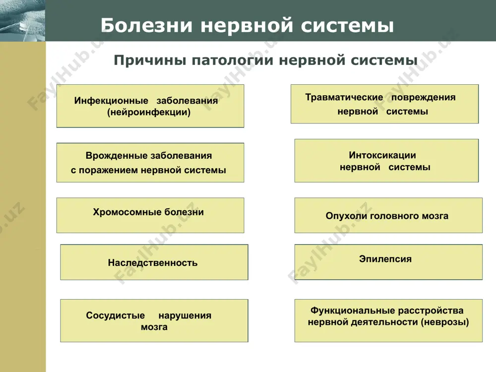 бугра; г – полиневритический тип. www.themegallery.com company logo нарушение органов чувств варианты нарушений полей зрения i – амавроз (слепота); ii, iii – разноименная гемианопсия; iv – одноименная гемианопсия; v – верхняя квадратная одноименная гемианопсия; vi – нижняя квадратная одноименная гемианопсия; vii – одноименная гемианопсия с сохранностью центрального зрения; viii – скотома. www.themegallery.com company logo диагностика нарушений высших психических функций исследование агнозий рисунок больного со зрительной пространственной агнозией. игнорирование левой стороны. рисунки, предъявляемые больным для распознавания агнозий www.themegallery.com company logo диагностика нарушений высших психических функций исследование апраксий конструктивная апраксия. больной не может сложить из палочек домик. рисунки больного с конструктивной апраксией www.themegallery.com company logo врожденная патология развития пороки развития черепа: а – аксицефалия; б – гидроцефалия; в – акроцефалия; г – микроцефалия. www.themegallery.com company logo нервная клетка инфекционные болезни нервной системы (общие сведения) механизм действия: отёк мозга (общемозговые симптомы) инфекционно- токсический агент нейротропизм головная боль головокружение рвота потеря сознания судорожные припадки …