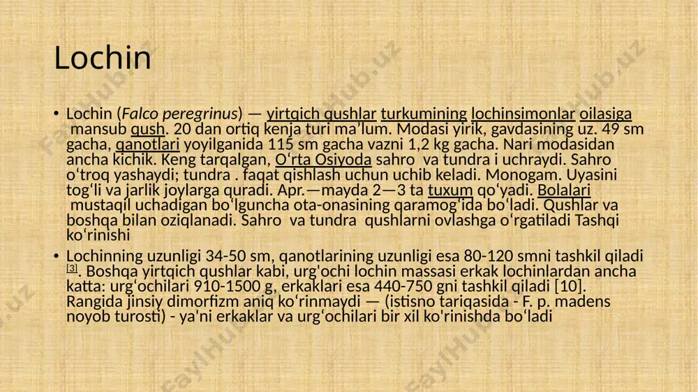 tuyak" - ov paytida tirnoqlarning birortasi uzilib qolgan holatlar uchun protez vazifasini bajaradigan metall tirnoqlar. "shuzu" - dum patlari maxsus tarzda bog'langan mato arqonlari. ular yirtqich qushni uchishda baland ko'tarilmasligi uchun o'rgatish jarayonida qo'llaniladi. bu qushning balandligini ko'tarish rullarini cheklashning bir turi. "yrgak" - tebranuvchi perch, yaqinda tutilgan qushni o'rgatishning dastlabki davrida ishlatilgan. bu, odatda, ikkita ustun orasiga ikkala uchiga bog'langan tayoq. unga o'tirib, qush yiqilmasligi uchun doimo muvozanatni saqlashi kerak. shuning uchun uning e'tibori ko'proq bunga qaratilgan. qush uxlab qololmaydi, charchaydi, zaiflashadi va shu bilan tezda odamga o'rganib qoladi. "shyrga", "dalbay" - yirtqich qushlarni o'rgatish uchun ishlatiladigan sun'iy nishonlar. "shirga" - "yugurish" nishoni, somon va tulki dumi bilan to'ldirilgan qalin teridan yasalgan. unga kuchli uzun shnur biriktirilgan, buning uchun nishon tortiladi. “shirg‘oy”da asosan burgutlar shug‘ullanadi. "dalbay" - "uchuvchi" nishon, odatda teri yoki mato bilan qoplangan kigiz ramkasiga biriktirilgan o'rdak, kaptar yoki kekikning ikki qanotidan iborat. ba'zan qushning dumiga o'xshab, …