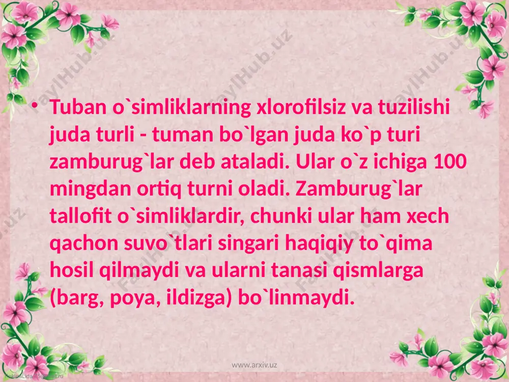 zamburug`i, qo`ziqorin ham shu sinfga mansubdir. www.arxiv.uz fokinalida.75@mail.ru www.arxiv.uz fokinalida.75@mail.ru bazidiyali zamburug`lar-sporalari maxsus bazidiyalarda yetiladi. qorakuya, zang, chang qorakuyasi kasalliklarini keltirib chiqaradi. g`allaguldoshlar oilasi vakillarida ko`p uchraydi. www.arxiv.uz fokinalida.75@mail.ru takomillashmagan zamburug`lar. bu sinf vakillari vilt kasalligini keltiriba chiqaradi. organik moddalarni chiritishda ishtirok etadi. simbioz hayot kechiradi. (mikoriza). qo`ziqorin va qalpoqchali zamburug`lar oziq-ovqat sifatida foydalaniladi. achituvchi zamburug`lar spirtli ichimliklar tayyorlashda, nonvoychilikda, ulardan olingan fermentlar, yengil sanoat va oziq-ovqat sanoatida ishlatiladi, hamda achituvchi zambu-rug`lardan polivitaminlar tayyorlanadi. salbiy tomoni, oziq-ovqatlarni buzadi, yog`ochlarni chiritadi. kasalliklarni keltirib chiqaradi www.arxiv.uz fokinalida.75@mail.ru suv o’tlari (vodorosli) suv o’tlari morfologik jixatdan juda xilma - xil bo’lib, ular orasida mikroskopik bir xujayralilar bilan bir katorda bir necha o’n metrga boradigan vakillari xam bor. suvo’tlar tana xolatida yashaydigan o’simliklar, ularda ildiz, poya, barg bo’lmaydi. birok ba’zi vakillarning tanasi - tallomi birmuncha murakkab tuzilgan bo’lib, tanasi ayrim kismlarga ajralgan. suvo’tlarning xujayrasi tashki tomondan kattik devor bilan koplangan. hujayra tsitoplaz-masi devor atrofida joylashgan …