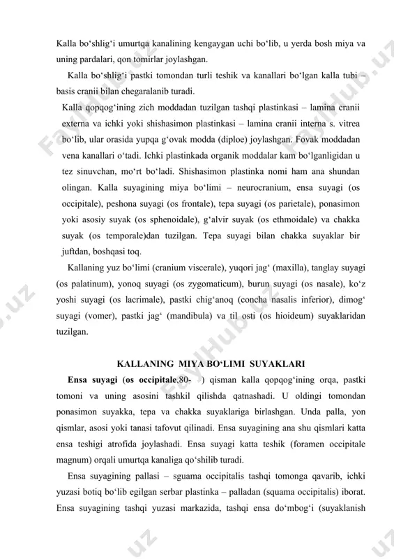 ning tashqi yuzasi markazida, tashqi ensa do‘mbog‘i (suyaklanish nuqtasining o‘rni) – protuberantia occipitalis externa bo‘lib, uning ikkala tomonida ko‘ndalang yo‘nalgan g‘adir-budur chiziqlar – linea nuchae superior ko‘rinadi. ammo shu chiziqdan yuqoriroqda parallel joylashgan yuqori g‘adir-budur chiziq – linea nuchae suprema joylashgan. ensa do‘mbog‘idan pastga ensaning tashqi qirrasi – crista occipitalis externa yo‘naladi. ana shu qirradan ikki yonboshga – linea nuchae inferior chiziqlari tarqaladi. .(а) b (а) ensa suyagi (os occipitale). tashqi yuzasi 1–pars basilaris; 2–processus intrajugularis; 3–condylus occipitalis; 4–canalis condylaris; 5–linea nuchae inferior; 6–linea nuchae superior; 7–linea nuchae suprema; 8–protuberantia occipitalis exterma; 9–crista occipitalis externa; 10–fossa condylaris; 11–processus jugularis; 12–incusura jugularis; 13–tuberculum pharyngeum.(.b) ensa suyagi (os occipitale). ichki yuzasi. 1–clivus; 2–sulcus sinus petrosi inferioris; 3–canalis condylaris; 4–sulcus sigmoidei; 5–margo mastoideus; 6–crista occipitalis interna; 7–protuberentia occipitalis interna (eminentia cruciformis); 8–squama occipitalis; 9–margo lambdoideus; 10–sulcus sinus sagittalis superioris; 11–sulcus sinus transversi; 12–processus jugularis; 13–tuberculum jugulare; 14–incisura jugularis; 15–pars lateralis; 16–pars basillaris. pallaning …