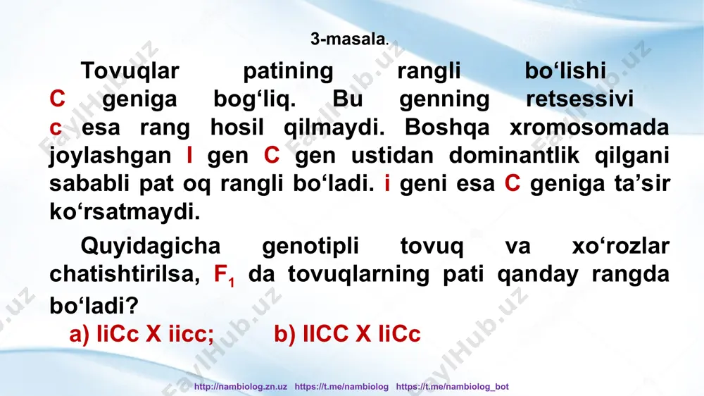 si 20 va 8 sm uzunlikda bo‘lgan ikkita navi chatishtirilgan. agar har bir dominant gen so‘tani 5 cm, retsessiv gen 2 cm uzunligini namoyon etsa, u holda; a) f1 da so‘taning uzunligi qancha bo‘ladi? b) 3 ta dominant genli formalar f2 dagi 960 ta o‘simlikdan necha qismini tashkil etadi? http://nambiolog.zn.uz https://t.me/nambiolog https://t.me/nambiolog_bot a-5 cm, a-2 cm, f1 -? cm p a1 a1 a2 a2 x a1 a1 a2 a2 g a1 a2 a1 a2 f1 a1a1a2a2 masala shartida f1 da so‘taning uzunligi so‘ralgan edi, 5+2+5+2=14 sm; demak, f1 da so‘taning uzunligi 14 cm ga teng. http://nambiolog.zn.uz https://t.me/nambiolog https://t.me/nambiolog_bot 3 ta dominant belgili formalar f2 da olingan 960 ta avlodning necha qismini tashkil etadi? http://nambiolog.zn.uz https://t.me/nambiolog https://t.me/nambiolog_bot a1 a2 a1 a2 a1 a2 a1 a2 a1 a2 a1a1 a2a2 a1a1a2a2 a1a1a2a2 a1a1a2a2 a1 a2 a1a1a2a2 a1a1a2a2 a1a1a2a2 a1a1a2a2 a1 a2 a1a1a2a2 a1a1a2a2 a1a1a2a2 a1a1a2a2 a1 a2 a1a1a2a2 a1a1a2a2 a1a1a2a2 a1a1a2a2 3 …