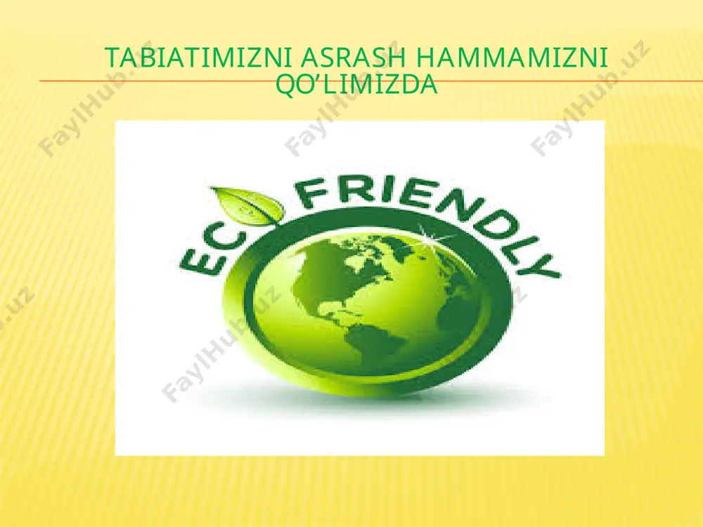 tur evolutsiyasining asosiy bosqichlari - Page 5