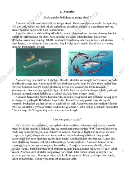 akulalar — DOCX