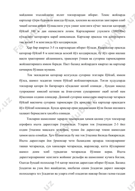 алдан алмаштириб ўтқазилади. ёруғсевар дарахтлар полосалар чеккасига, сояга чидамлилари эса ўртасига ўтқазилади. ихота дарахтларининг охирги қатори ток тупидан 10-12 м узоқда бўлиши керак, акс ҳолда уларни яқин бўлиши токни заифлаштириб қўяди. узум навларини танлашда биринчи навбатда хўжалик ҳудудининг тупроқ-иқлим шароити, йўналиши ҳисобга олинади. умуман, ўзбекистон 27 хил хўраки ва майизбоп навлар ва 25 хил винобоп навлар ўстирилади. республикамиз учун умумий кўрсаткич, узумчилик хўжаликларида 65% майдонга майизбоп навлар, 25% майдонга хўраки навлар ва 10-15% майдонга винобоп навларни экиш тавсия этилади. лекин, бу кўрсаткичлар айрим хўжаликларда нисбатан ўзгариб туради. ассортимент танлашда функционал урғочи тип гулли навлар нормал ҳосил бериши учун уларнинг бир-икки қаторидан сўнг бир қатор чангловчи нав ўтқазилади. стандарт навлардан чарос, нимранг, каттақўрғонда функционал урғочи гули бўлади. чарос нави учун қора кишмиш, пушти паркенти, пушти тойфи, чиллаки, ркацитети; нимранг нави учун қора кишмиш, пушти тойфи, саперави; катта қўрғон нави учун қора ва оқ кишмиш, пушти тойфи, султони, вассарға, саперави энг яхши …
