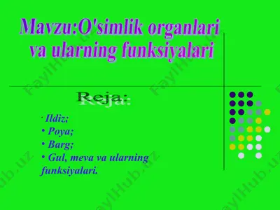 o'simlik organlari va ularning funksiyalari — PPT