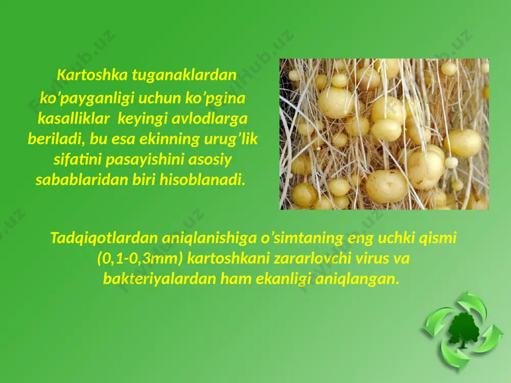 biotexnologik usullarning kartoshka seleksiyasidagi ahamiyati - Page 5