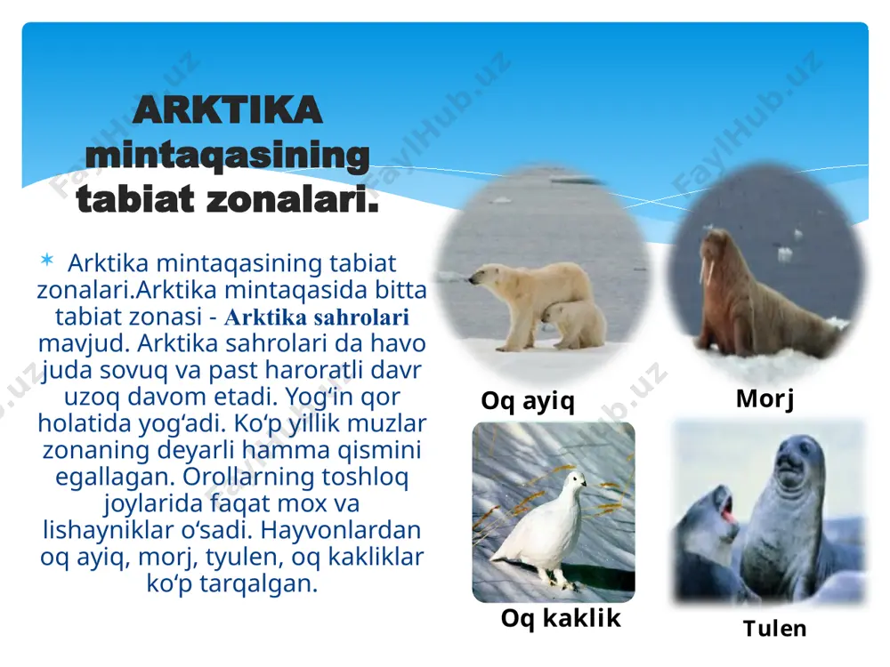 ayvonlar ko‘p tarqalgan. subarktika mintaqasining tabiat zonalari o’rmon-tundra zonasi rosamaxa qutb tulkisi mo’tadil mintaqaning tabiat zonalari o’rmon -dasht va dasht zonasi chalacho’lzonasi cho’l zonasi tayga zonasi aralash o’rmonlarzonasi keng bargli o’rmonlar zonasi mo’tadil mintaqaning tabiat zonalaridagi tupoqlari va o’simliklari tayga zonasi aralash o’rmonlar zonasi keng bargli o’rmonlar zonasi o’rmon-dasht va dasht chalacho’l zonasi cho’l zonasi 1.tuproqlari podzol 2.o’simliklari yevropa qarag’ayi qora va oq qarag’ay kedr tilog’och 1.tuproqlari chimli-podzol 2.o’simliklari 1.tuproqlari 1.tuproqlari 1.tuproqlari 1.tuproqlari igna bargli va keng bargli daraxtlar eman qora qayin lipa zarang grab qo’ng’ir o’rmon 2.o’simliklari ko’p yarusli o’simliklar keng bargli o’rmonlar uchun xosdir o’rmonlardasur-qo’ng’ir dashtlarda qora tuproq 2.o’simliklari iloq betaga shuvoq qoramtir kashtan tipik kashtan och kashtan qumoq shorxok sur-qo’ng’ir och bo’z 2.o’simliklari erta bahordagi yashil rang o’simligi mo’tadil mintaqada uchraydigan o’simliklar tayga zonasidagi hayvonlar tayga zonasidagi hayvonlar qo’ng’ir ayiq bug’u silovsin olmaxon o‘rmon-dasht va dasht zonalari hayvonlari sayg‘oq, sug‘ur, bo‘ri, sassiqko‘zan, yumronqoziq, qo‘shoyoq, burgut, olaxurjun va …