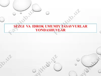 sezgi va idrok umumiy tasavvurlar yondashuvlar — PPTX